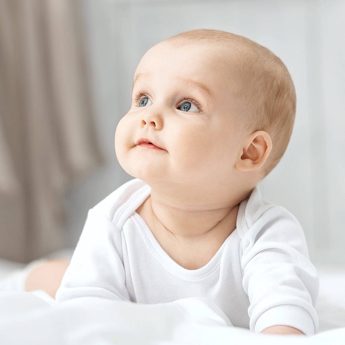 Trolle-Care-den-nye-familie